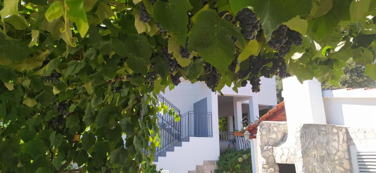 Apartment Lavanda Nova Ražanj Eksteriør bilde