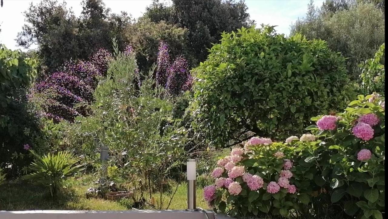 Apartment Lavanda Nova Ražanj Eksteriør bilde