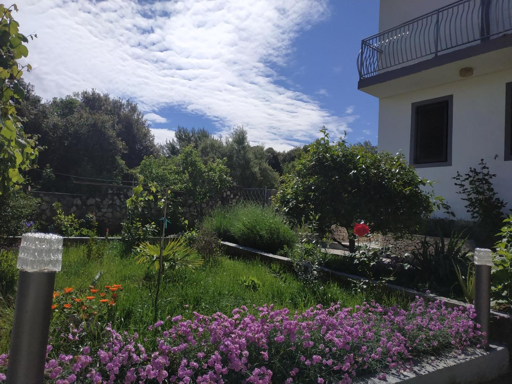 Apartment Lavanda Nova Ražanj Eksteriør bilde