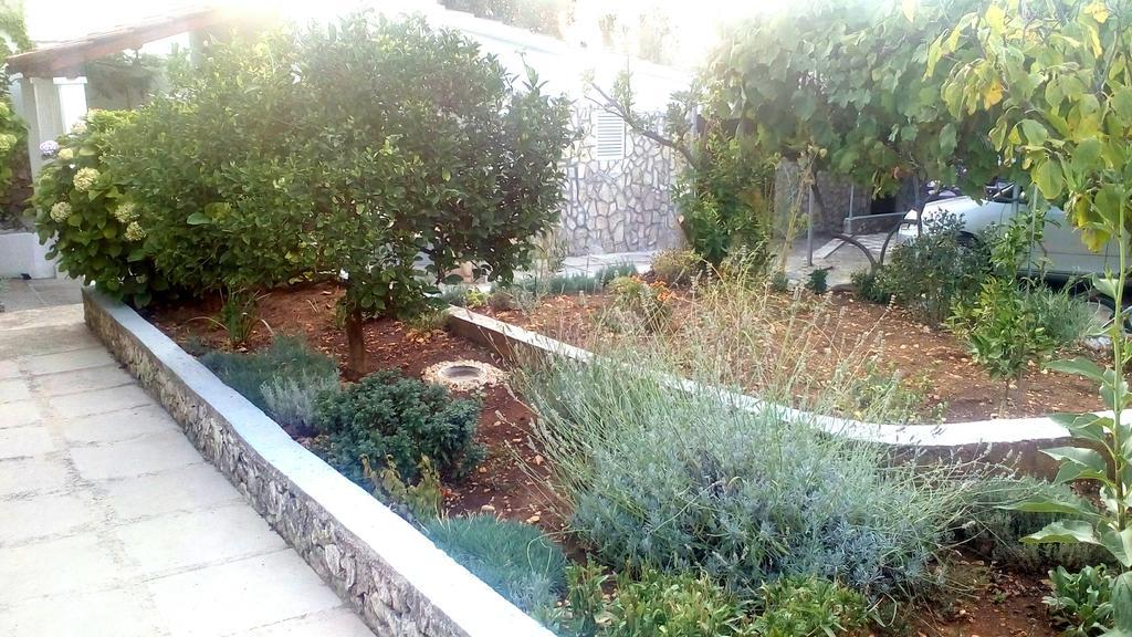 Apartment Lavanda Nova Ražanj Eksteriør bilde