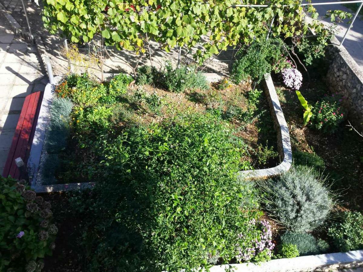Apartment Lavanda Nova Ražanj Eksteriør bilde